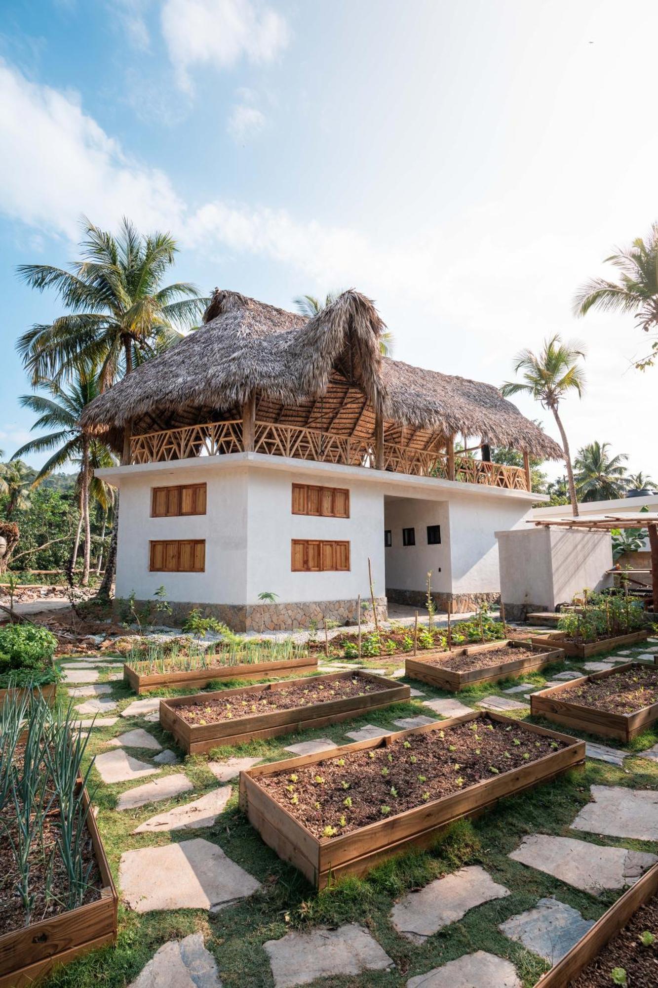 Leisy'S Garden Hostel & Rooms Samana Kültér fotó